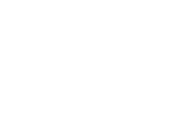 Schreurs Totaal Metaal_logo compleet_wit